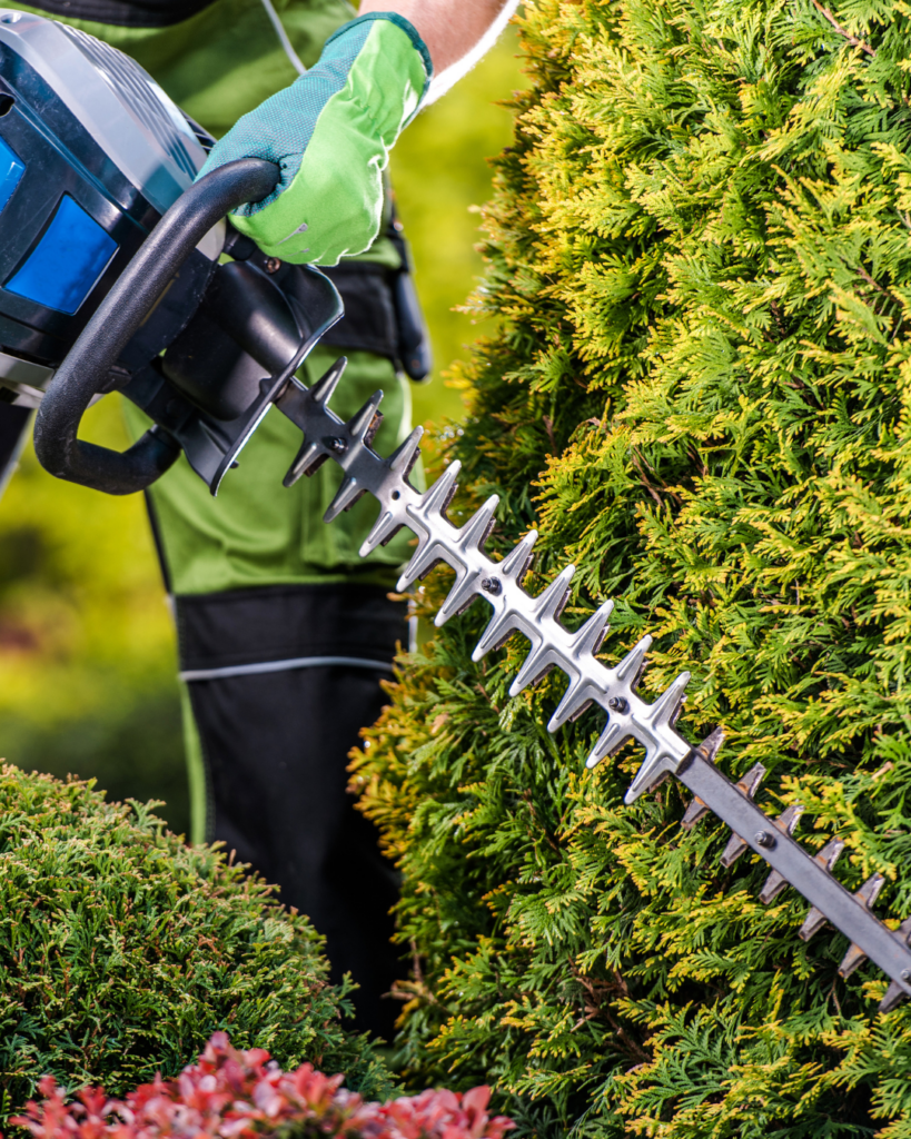 professional gardening burlington.