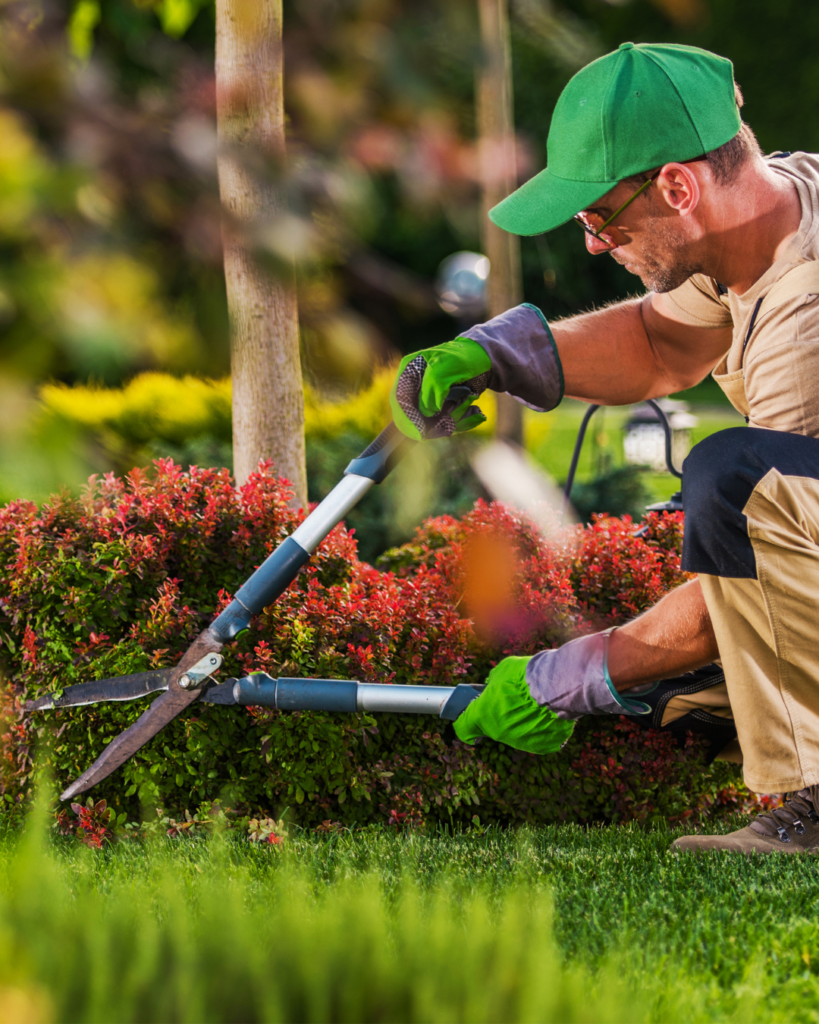 seasonal-yard-cleanup-services-oakville